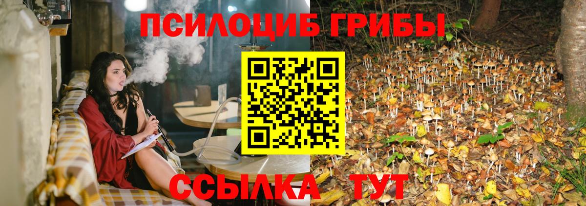 Псилоцибиновые грибы мицелий Набережные Челны